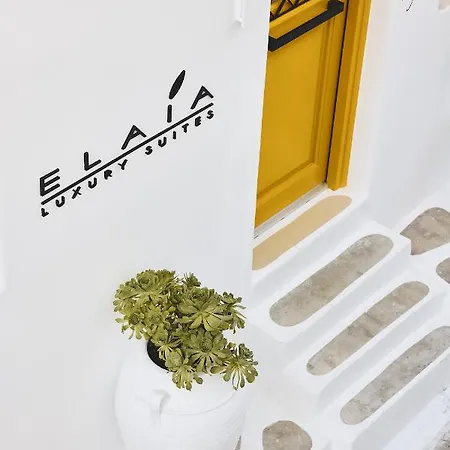 Holiday home Elaia Luxury Mykonos *